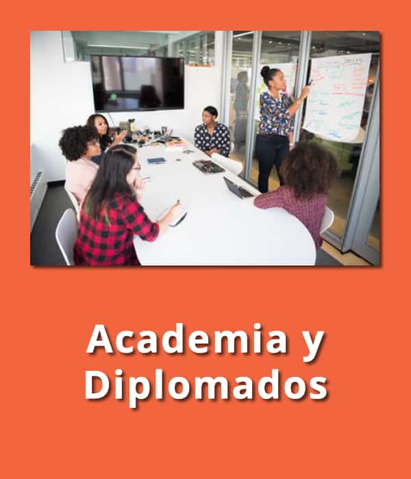 academia y diplomados