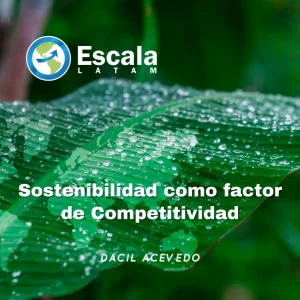 Sostenibilidad como factor de competitividad